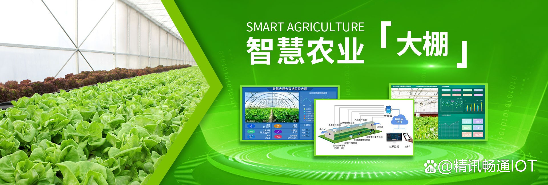 智慧農(nóng)業(yè) 開啟現(xiàn)代農(nóng)業(yè)新紀(jì)元——智能農(nóng)業(yè)管理