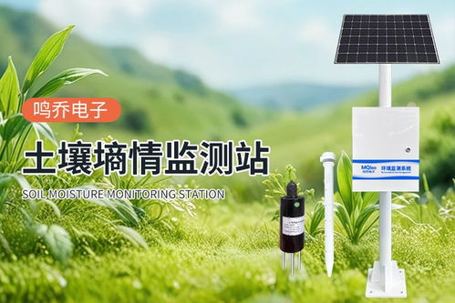 土壤墑情監(jiān)測(cè)系統(tǒng) 農(nóng)田的“智能聽(tīng)診器”，賦能高效精準(zhǔn)農(nóng)業(yè)